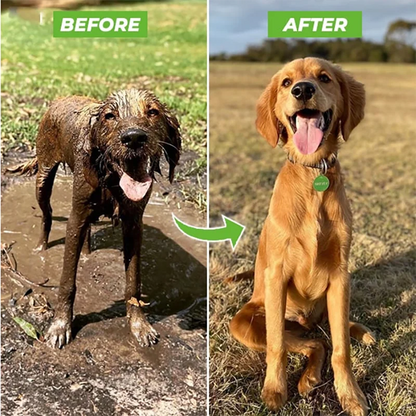 SweetPaws™ Dog Shower Gun